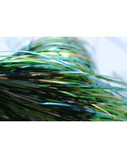 FLASHABOU  OCEAN GREEN